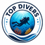 TopDivers Logo